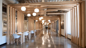 The Role of Line in Interior Design